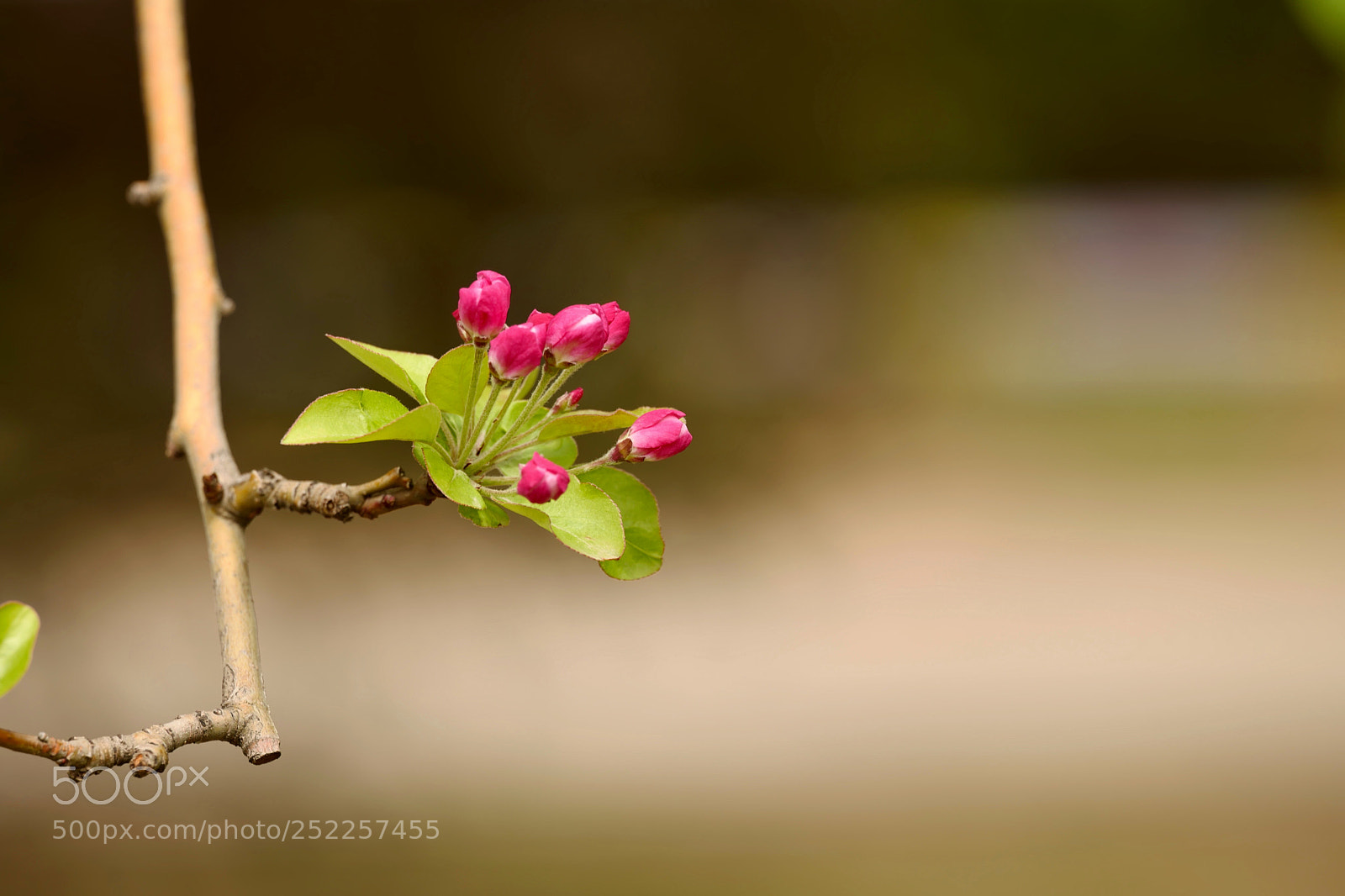 Leica SL (Typ 601) sample photo. Untitled photography