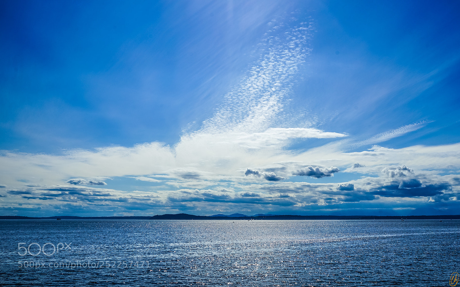 Sony a7 II sample photo. Puget sound photography