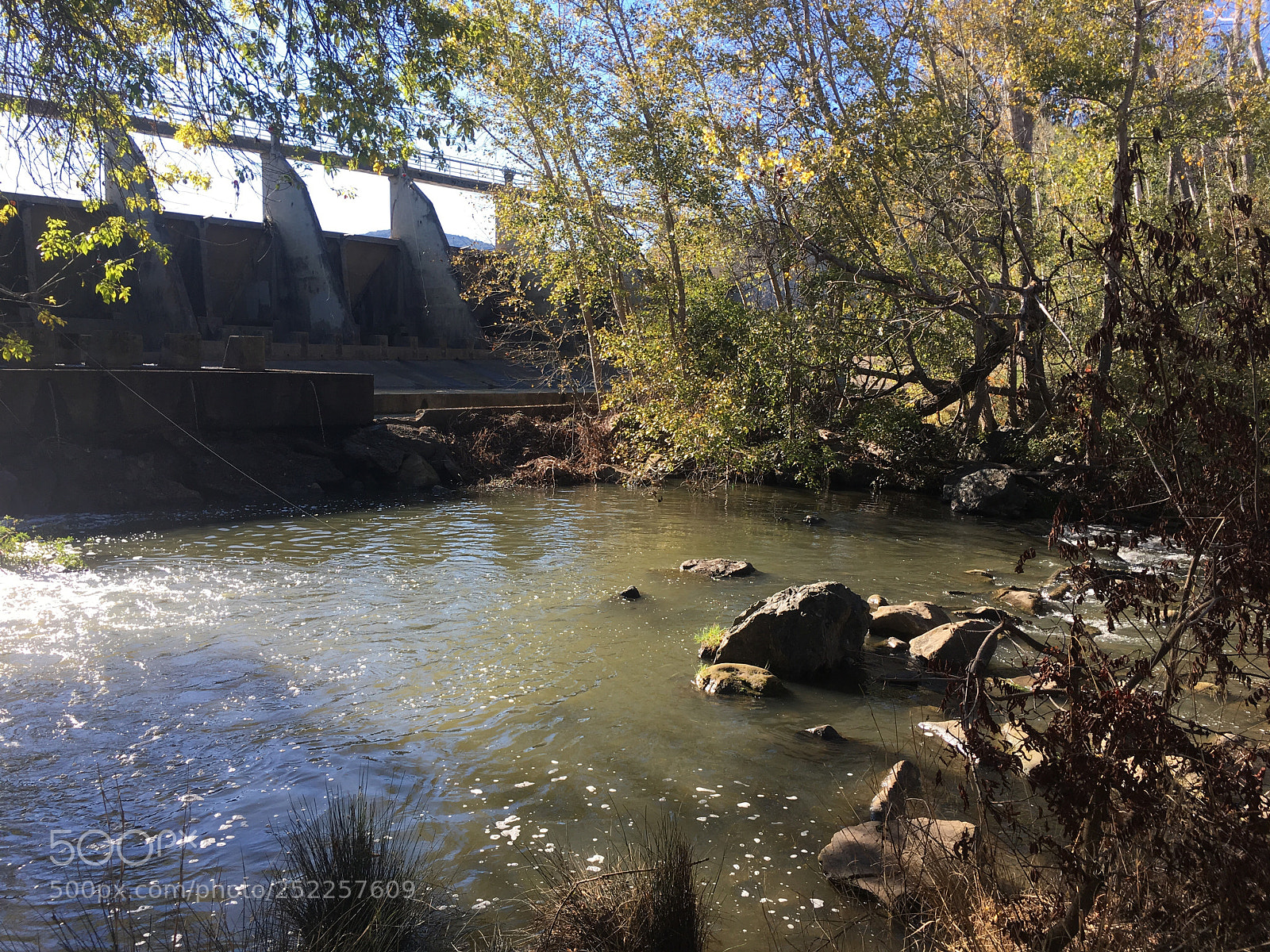 Apple iPhone 6s Plus sample photo. Los gatos creek trail photography