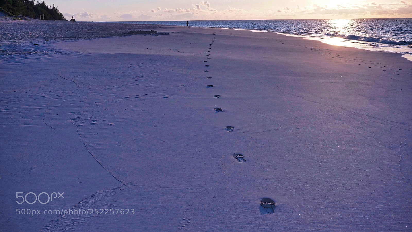 Sony a6000 sample photo. Footprints in the sand photography