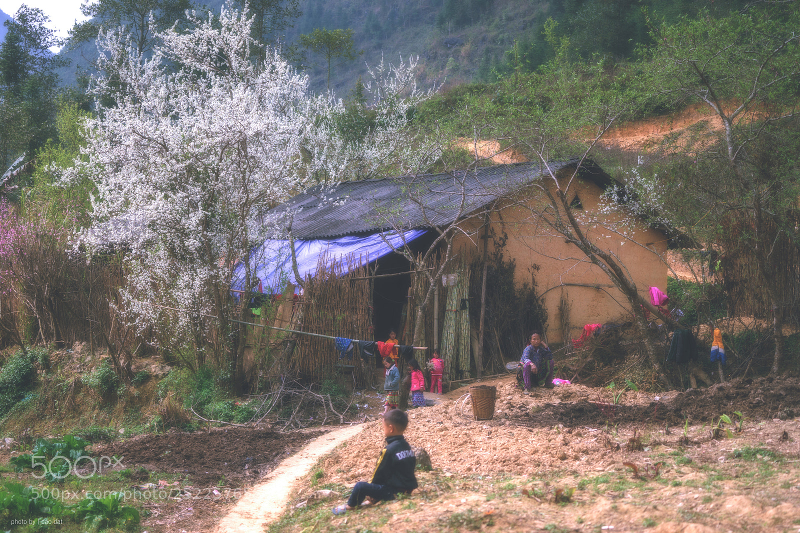 Sony a7 sample photo. Ha giang photography