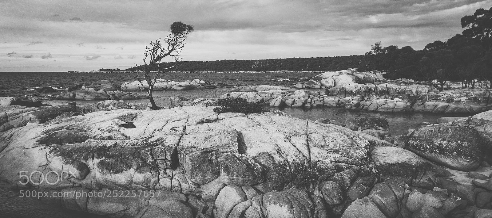 DJI FC220 sample photo. Bay of fires in photography