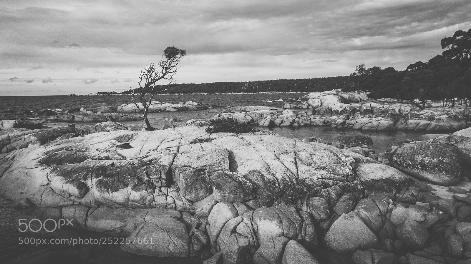 DJI FC220 sample photo. Bay of fires in photography