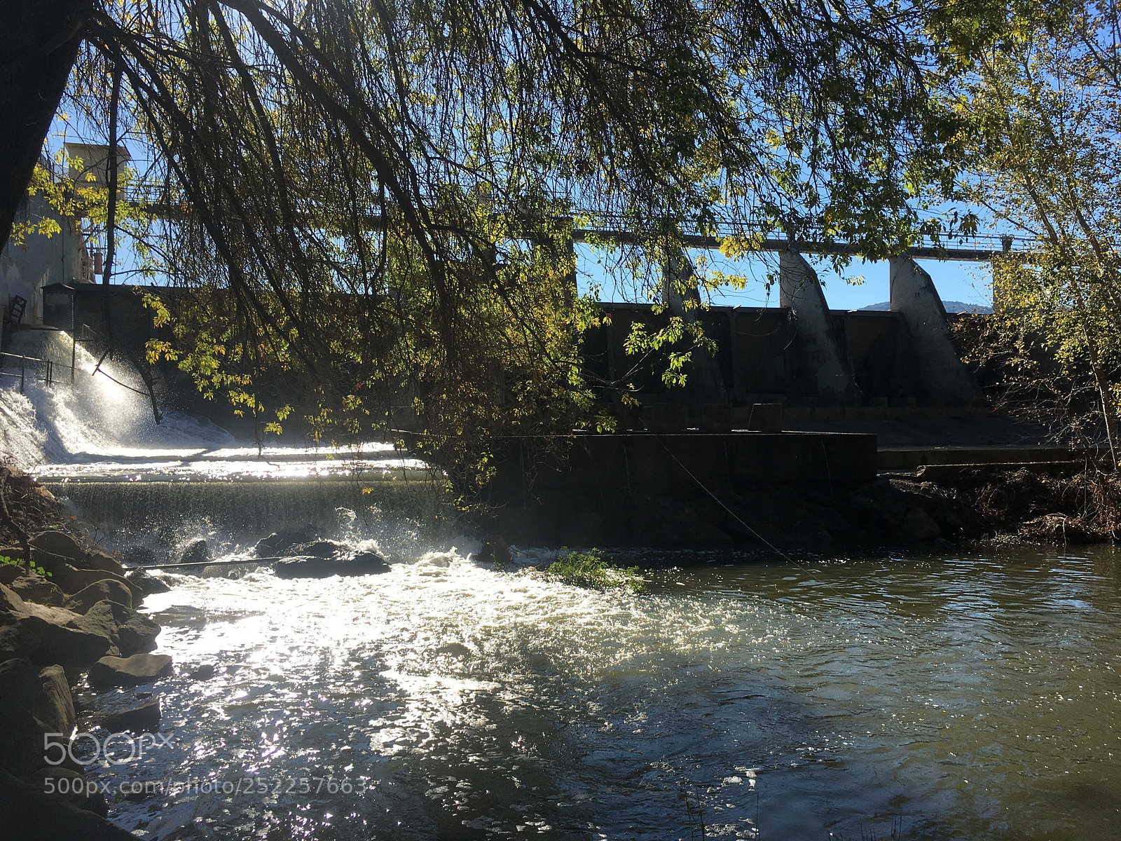 Apple iPhone 6s Plus sample photo. Los gatos creek trail photography