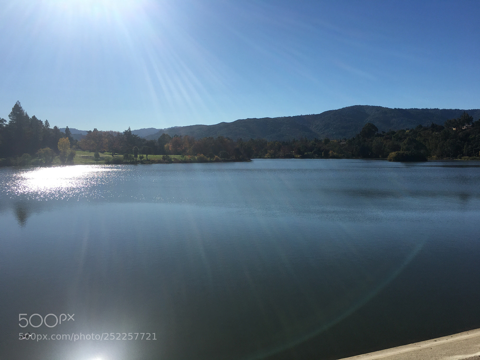 Apple iPhone 6s Plus sample photo. Lost gatos creek trail photography