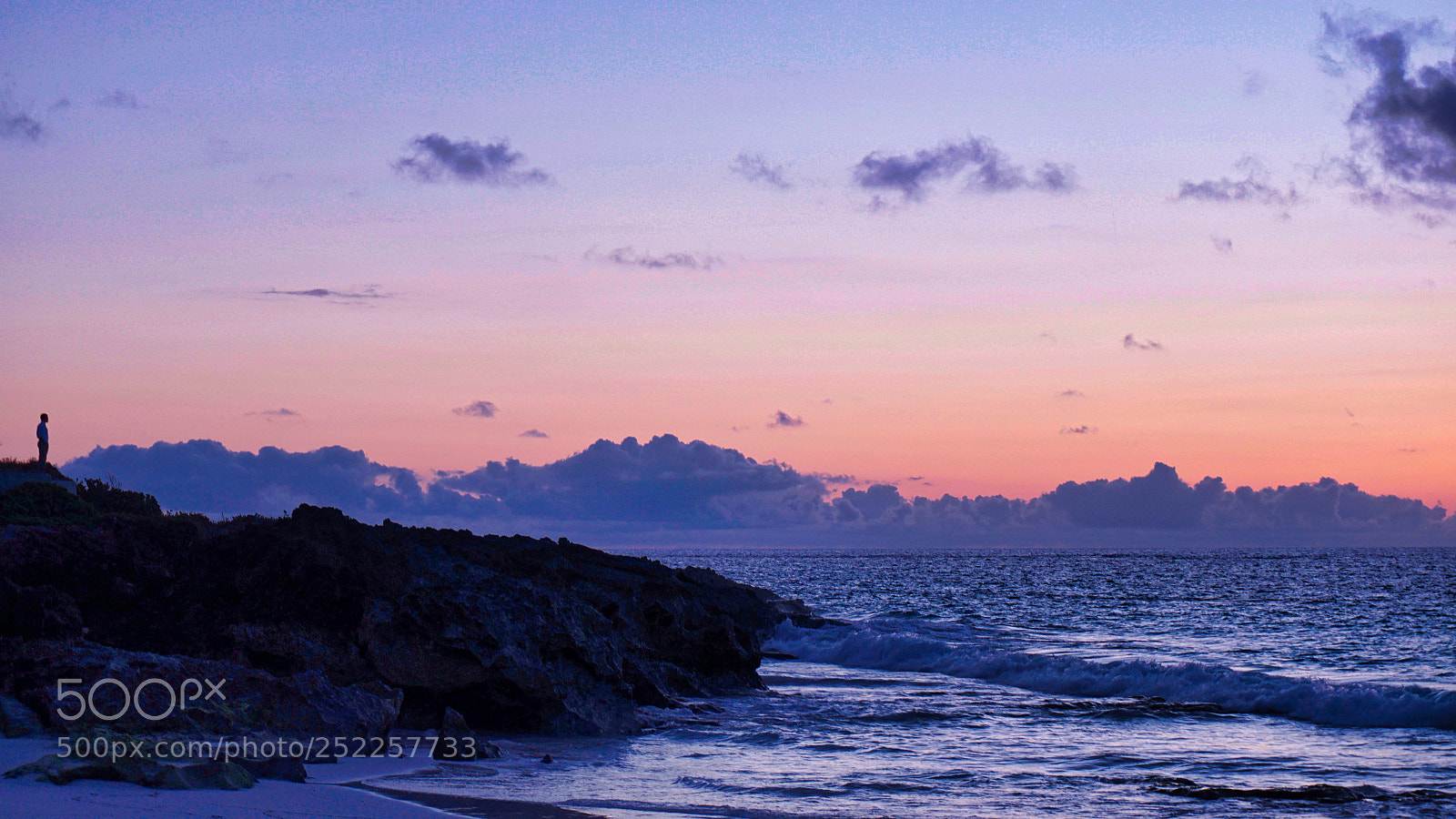 Sony a6000 sample photo. Alone, never lonely photography