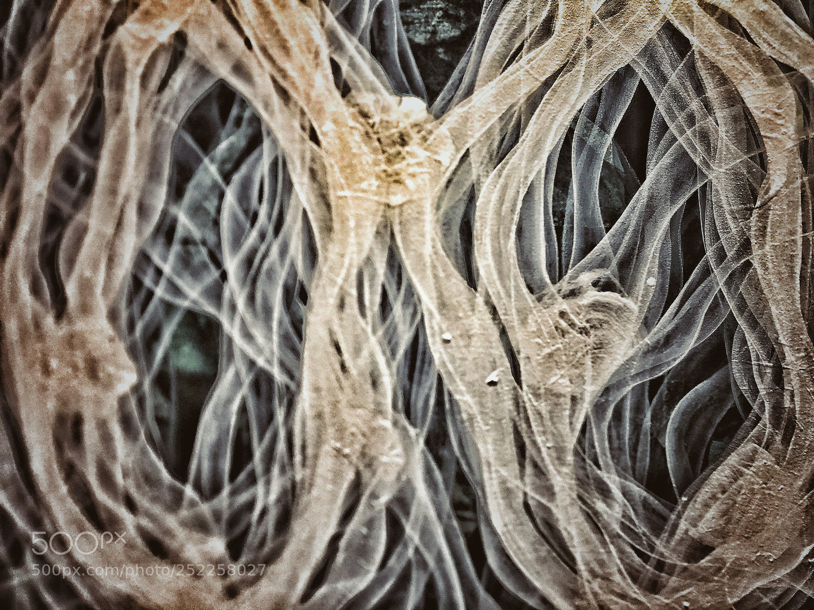 Apple iPhone X sample photo. Arteries  photography