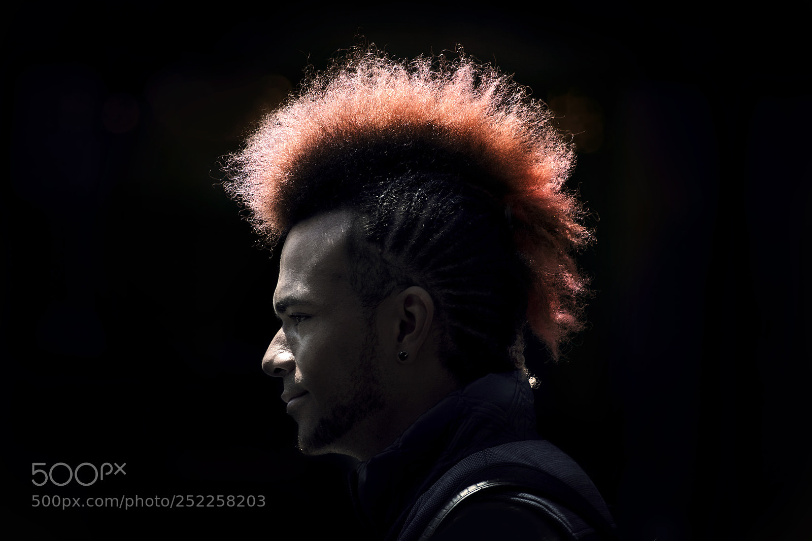 Canon EOS 750D (EOS Rebel T6i / EOS Kiss X8i) sample photo. Mohawk photography