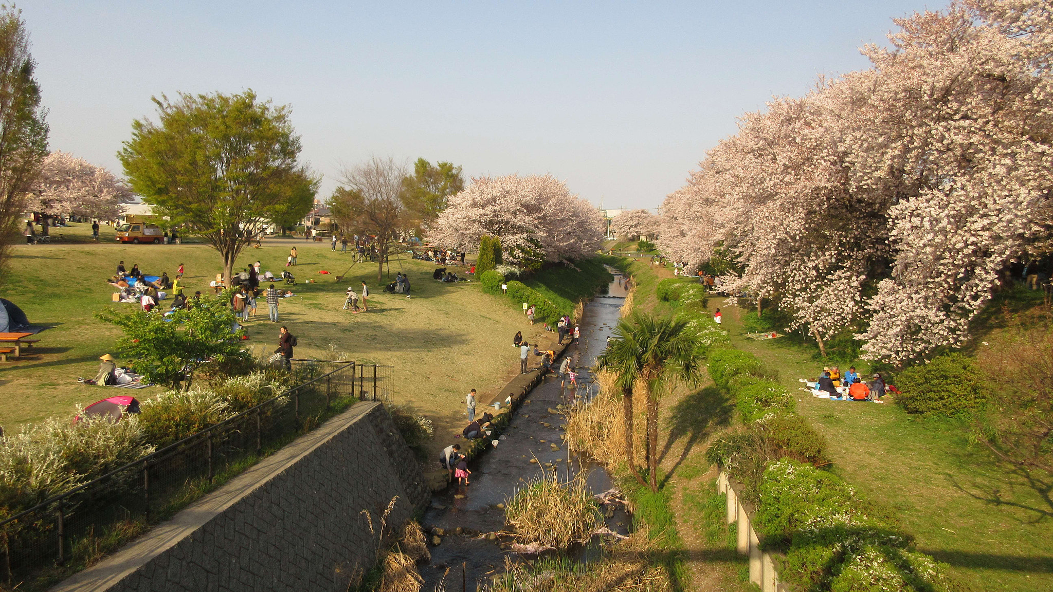 Canon PowerShot ELPH 360 HS (IXUS 285 HS / IXY 650) sample photo. Sakura viewing picnic parties photography