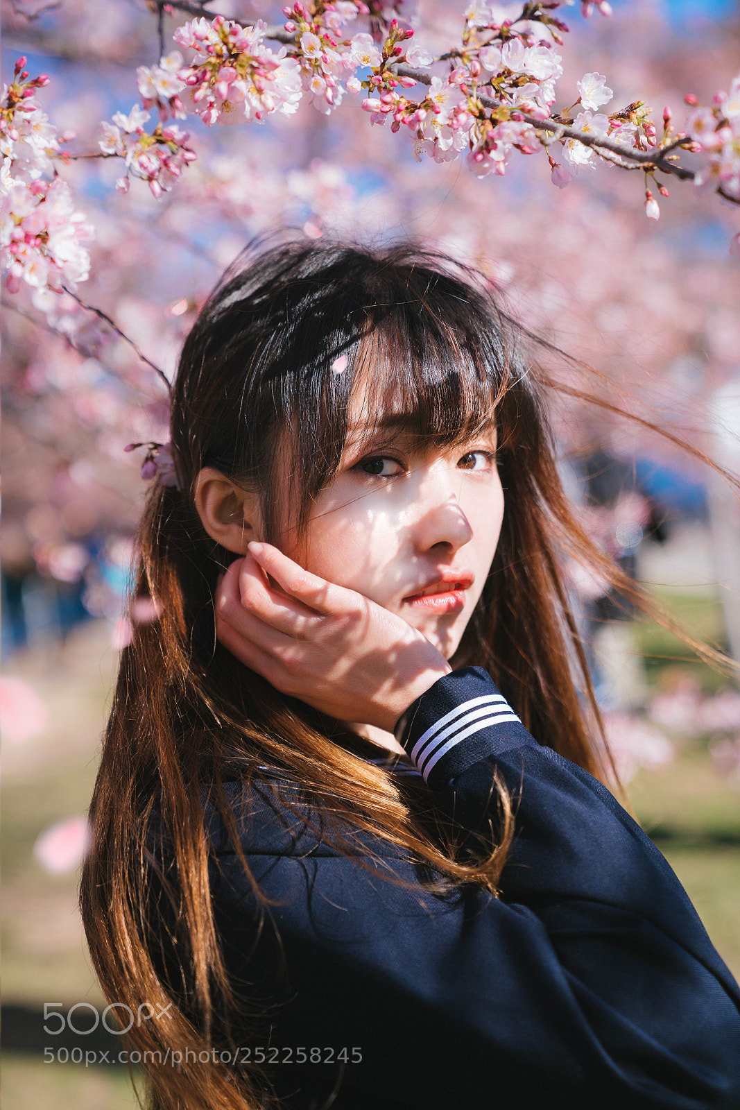 Sony a7R II sample photo. Cherry blossom and her photography