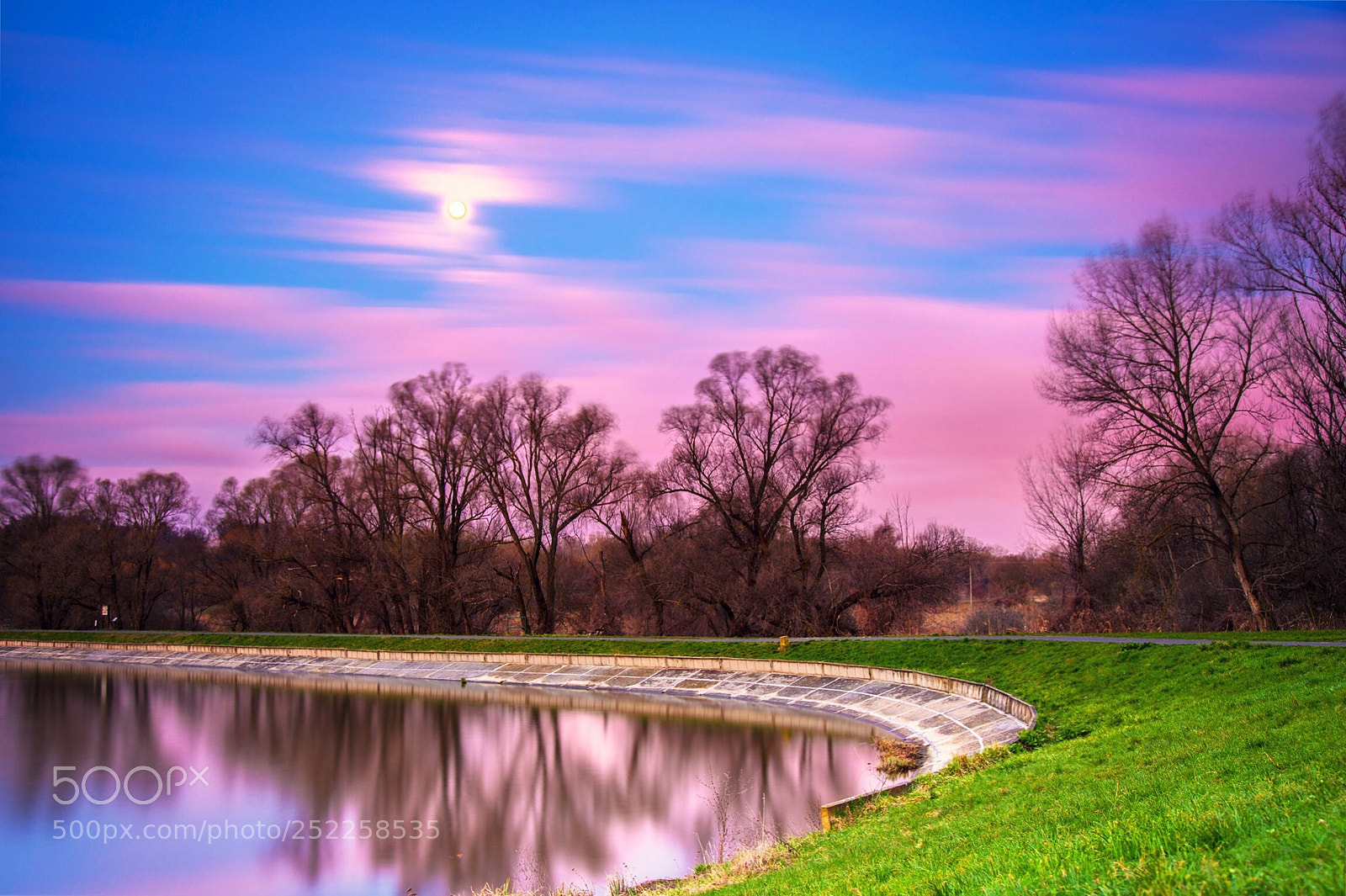 Sony a7R III sample photo. Pink veil over the photography