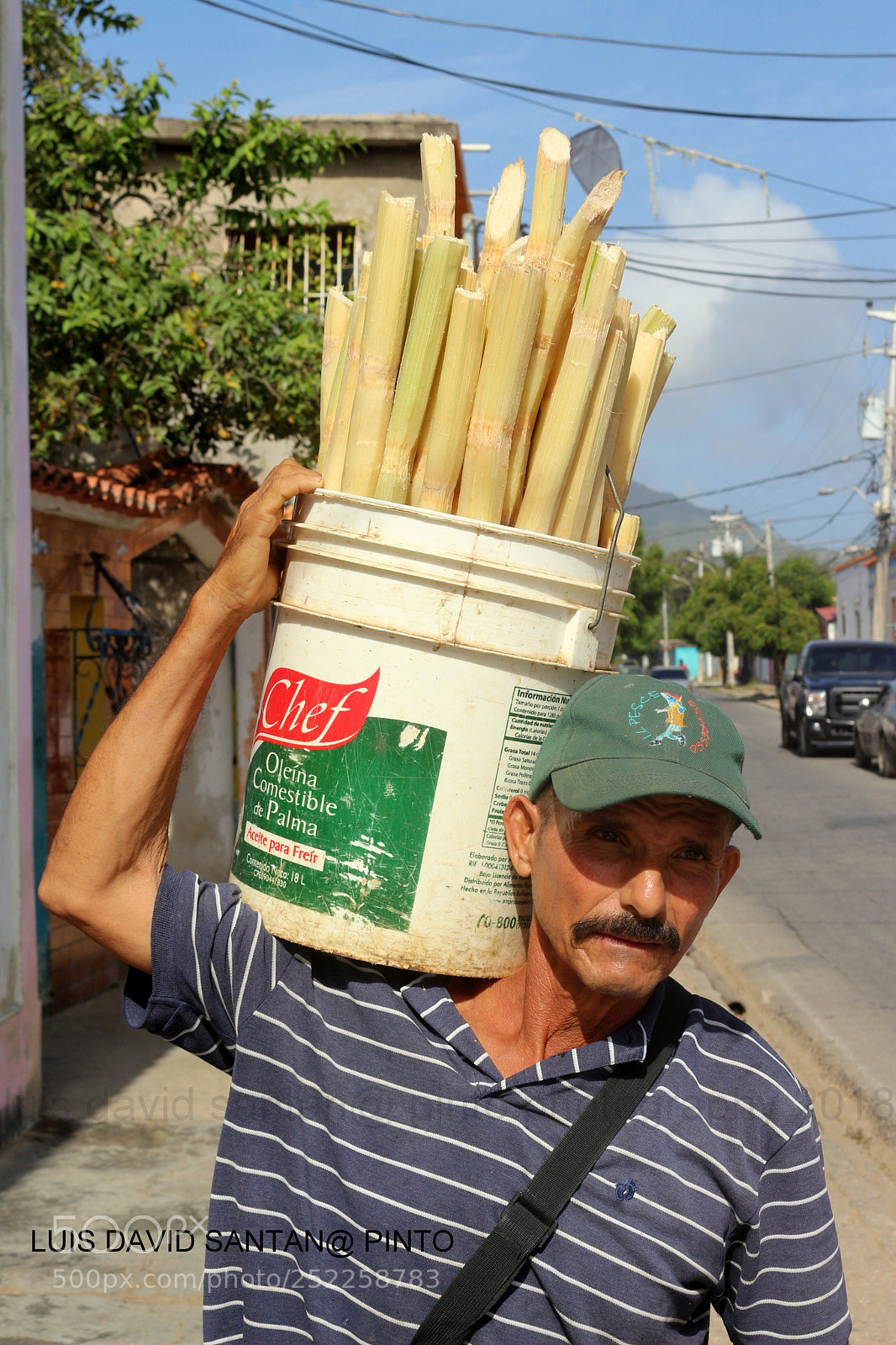 Canon EOS 700D (EOS Rebel T5i / EOS Kiss X7i) sample photo. Img photography