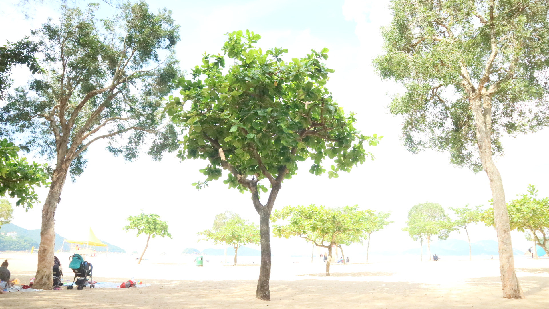 Canon EOS M3 sample photo. Repulse bay photography