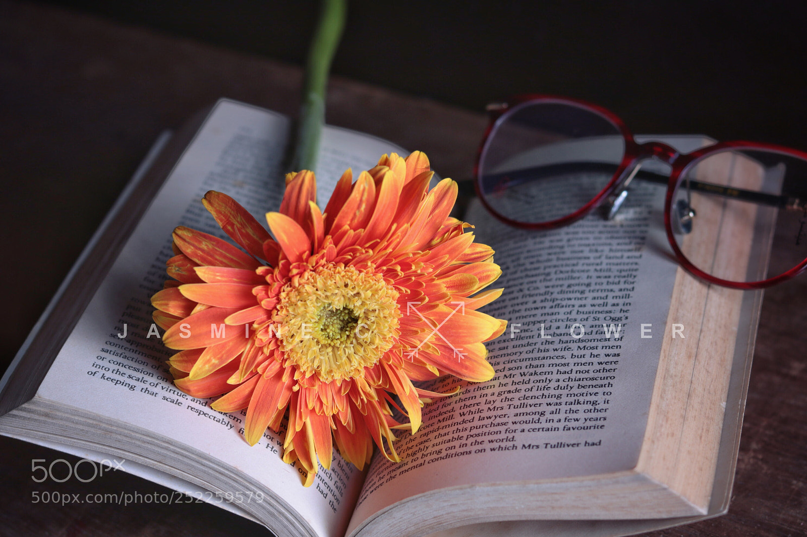 Canon EOS 750D (EOS Rebel T6i / EOS Kiss X8i) sample photo. Untitled photography