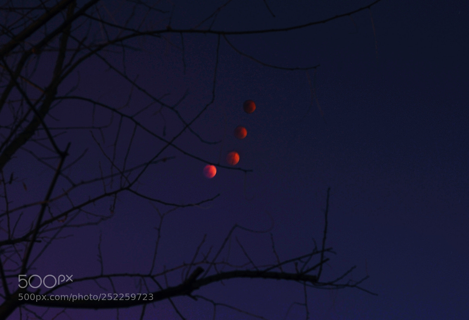 Nikon D700 sample photo. Untitled photography