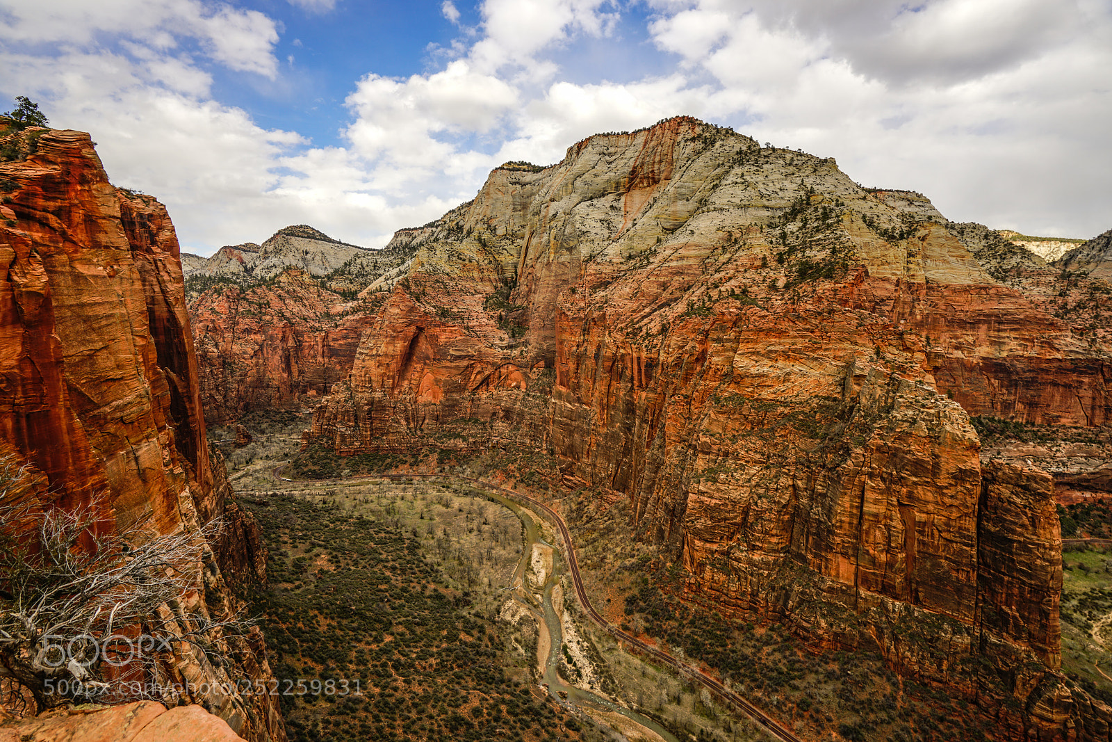 Sony a7R II sample photo. Pure bliss at zion photography