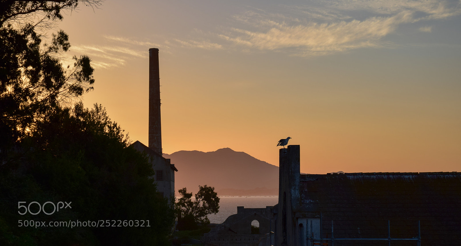 Nikon D5300 sample photo. San francisco - dusk photography