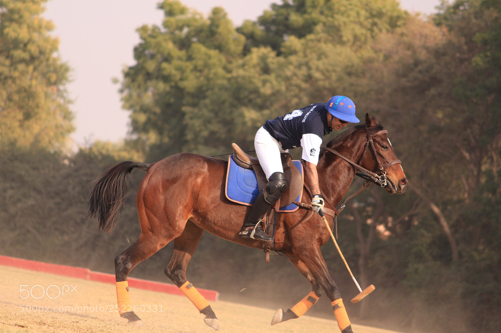 Canon EF-S 55-250mm F4-5.6 IS II sample photo. Img photography