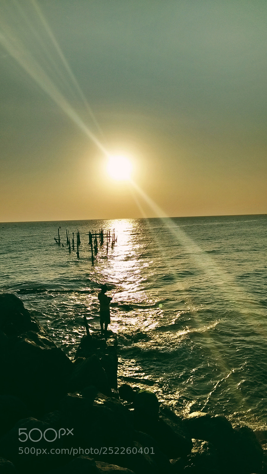 OPPO A37fw-International sample photo. Processed with vsco with photography