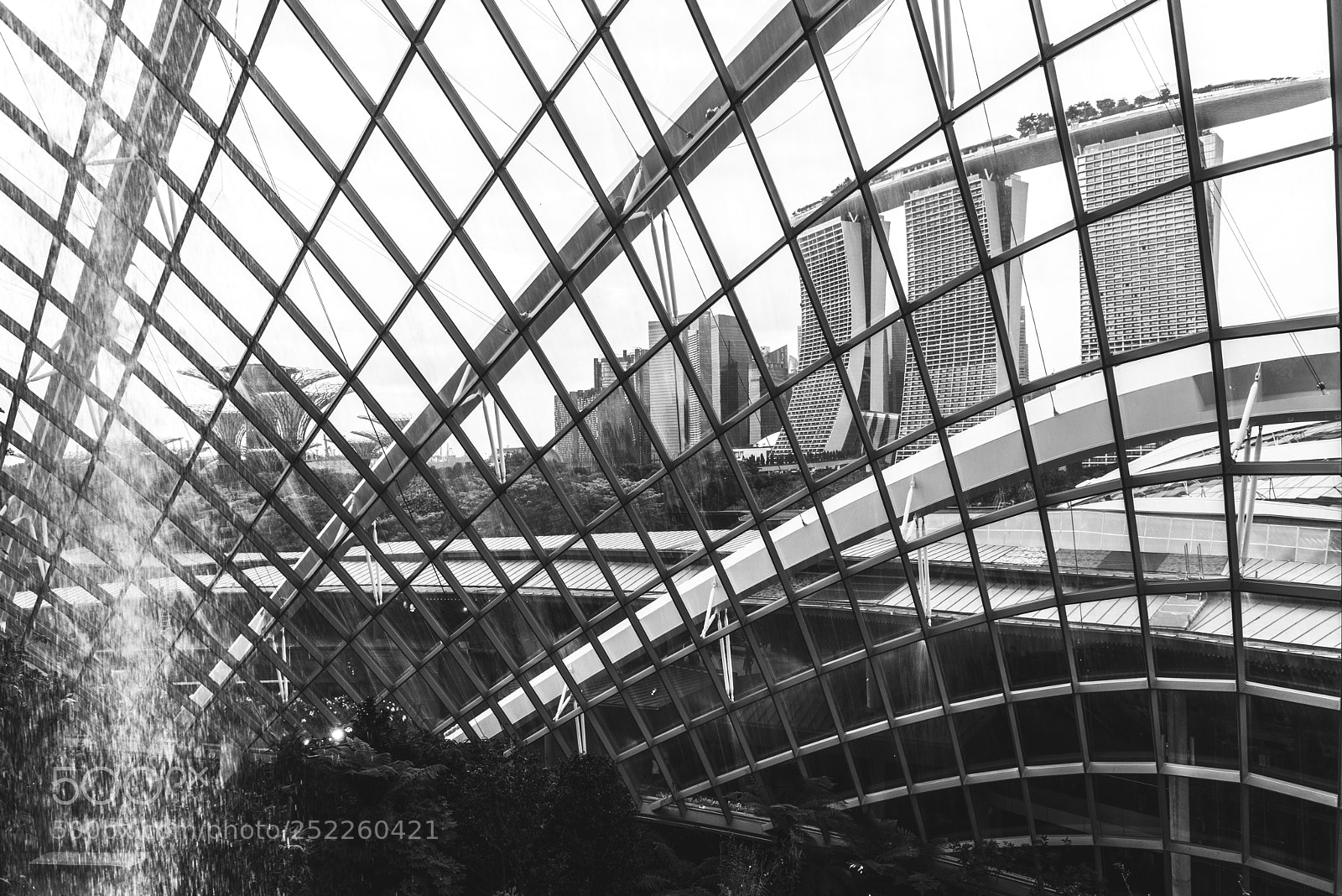 Nikon D800 sample photo. Flower dome photography