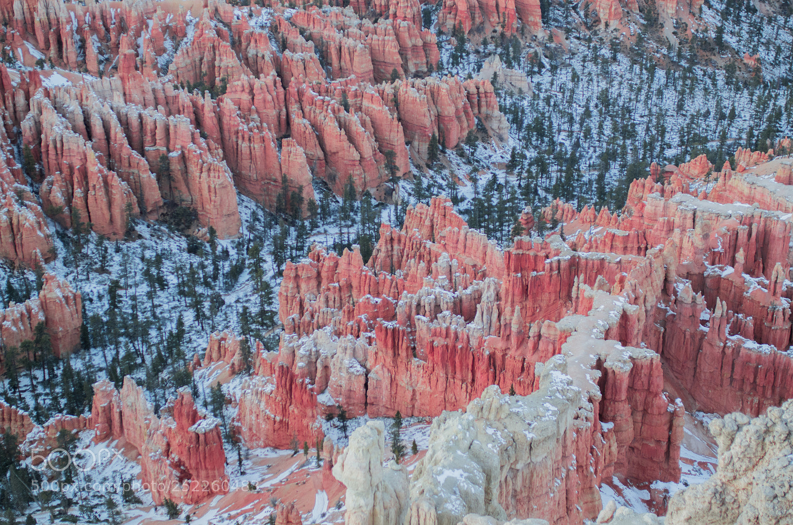 Pentax K-5 sample photo. The red of bryce photography