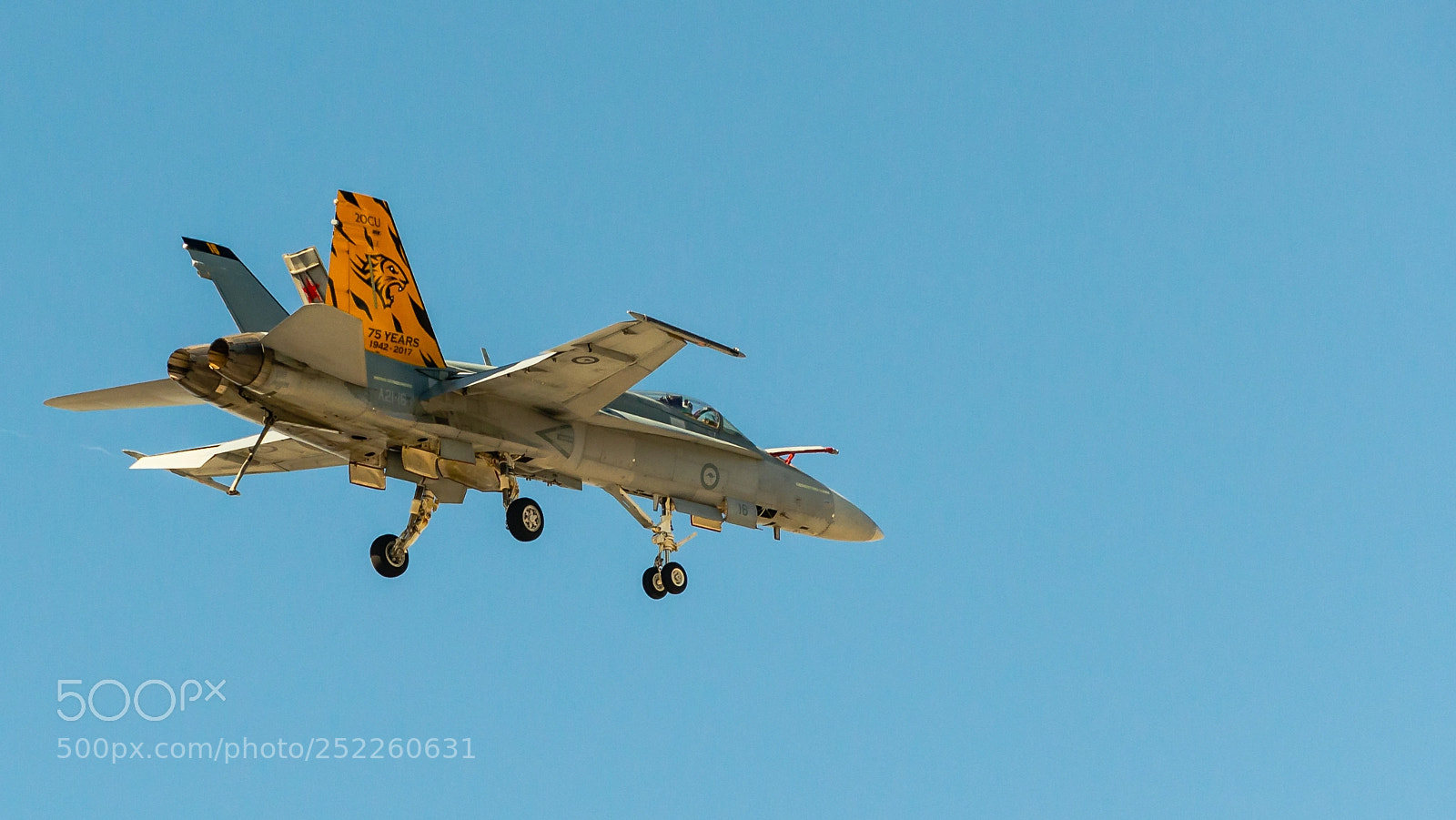 Nikon D800E sample photo. Top gun photography