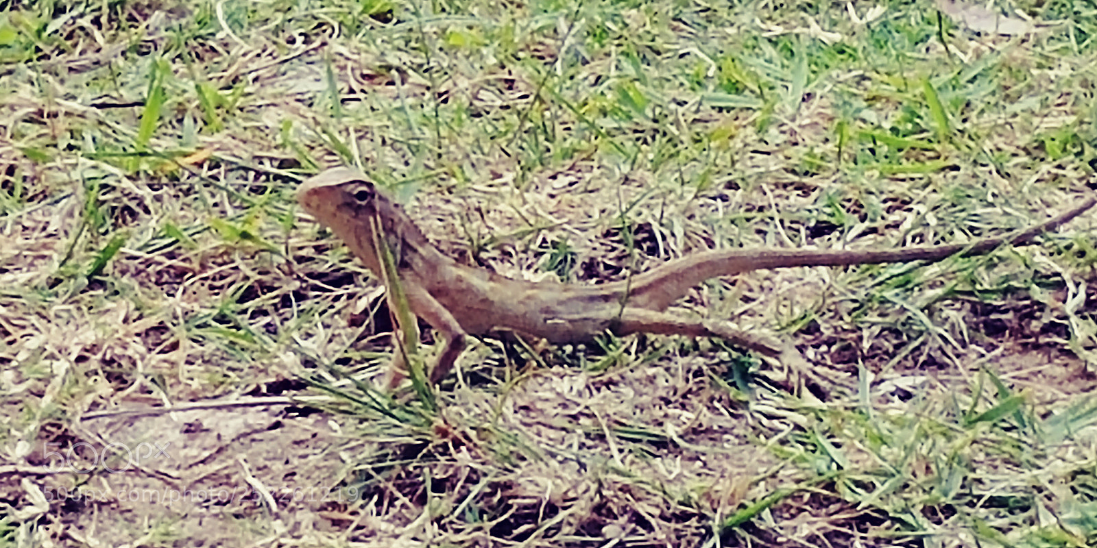 LG G6 sample photo. Untitled photography