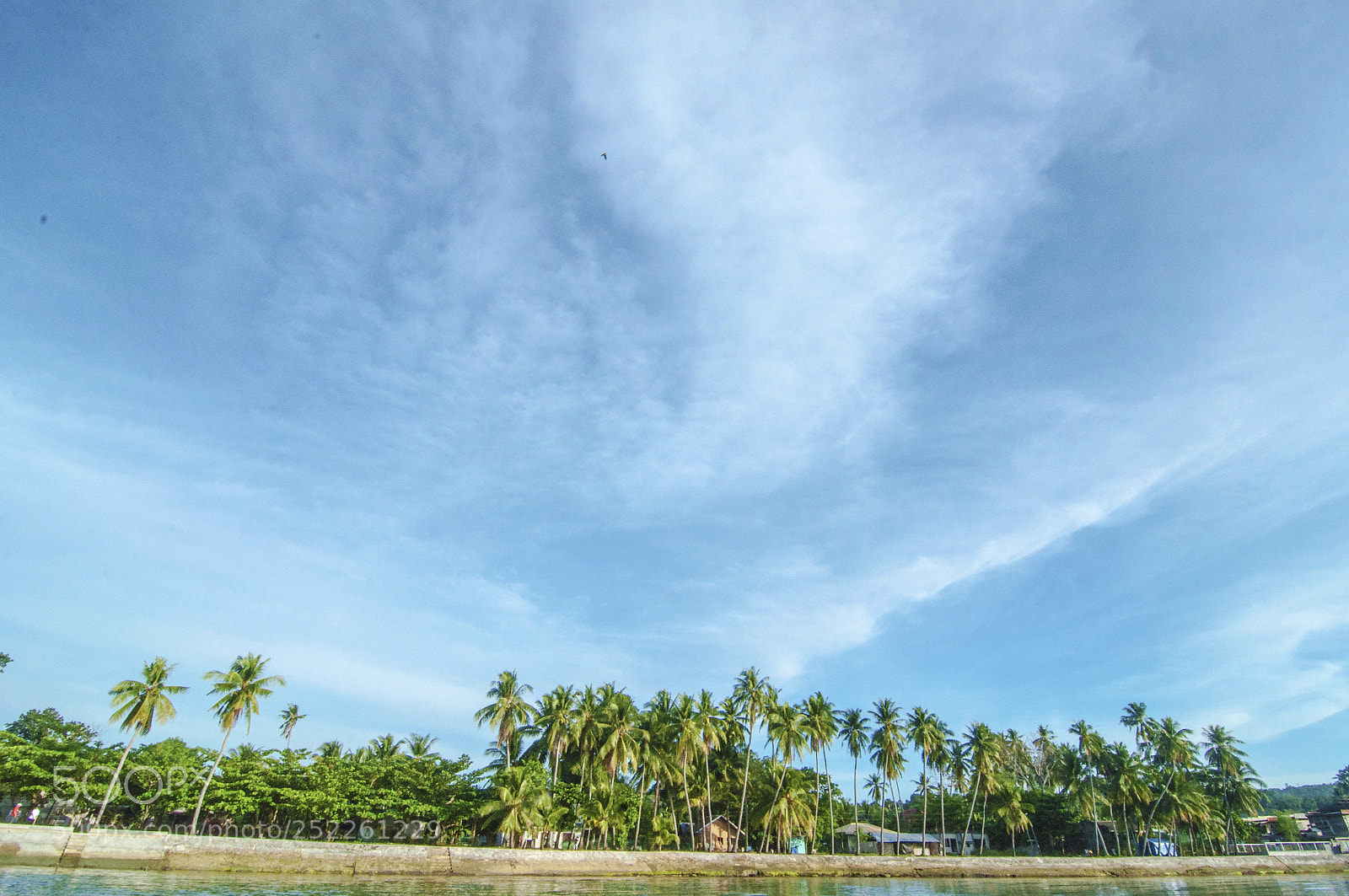Nikon D90 sample photo. Morning photography