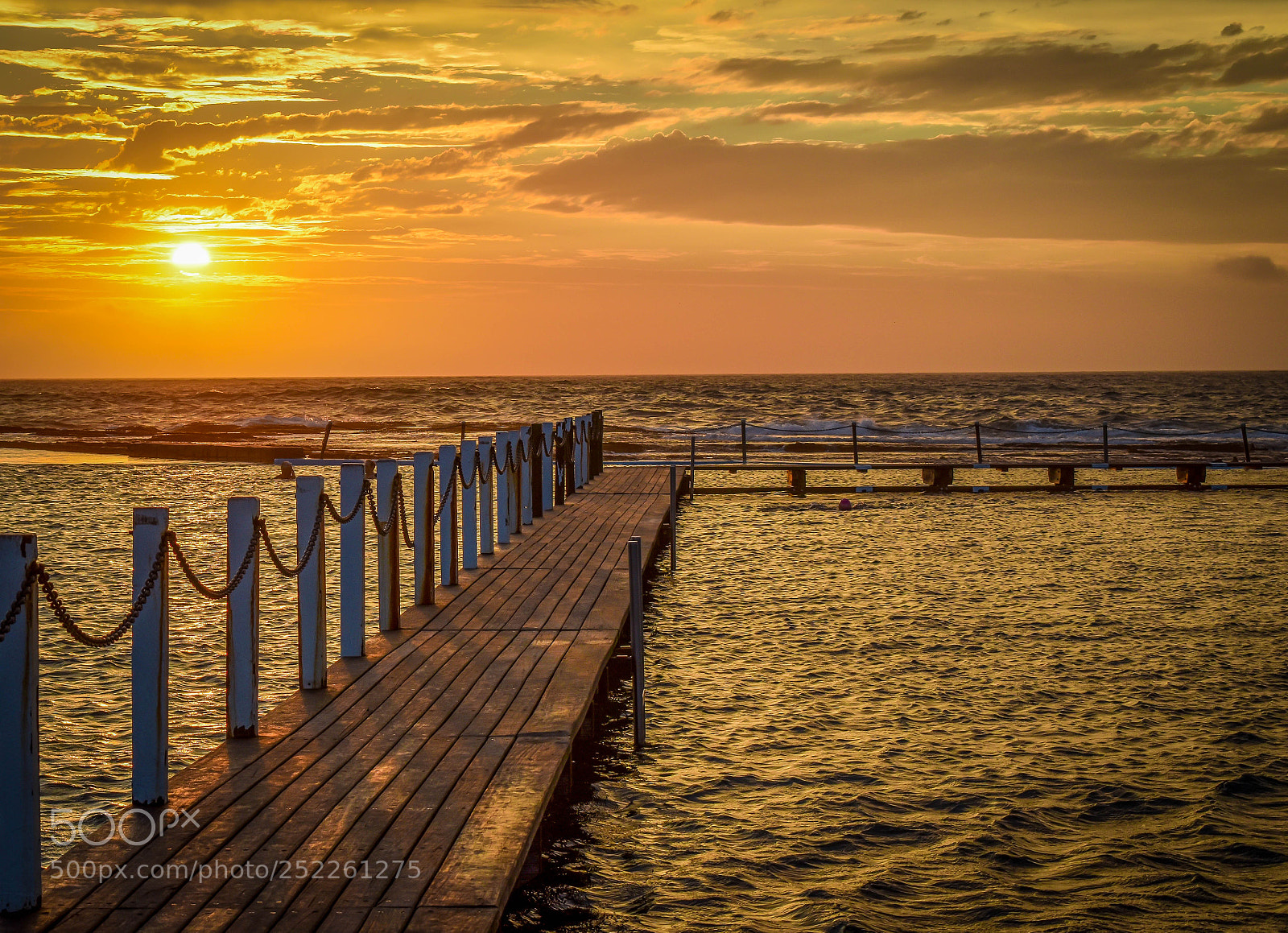 Nikon D5600 sample photo. North narrabeen pool gold photography