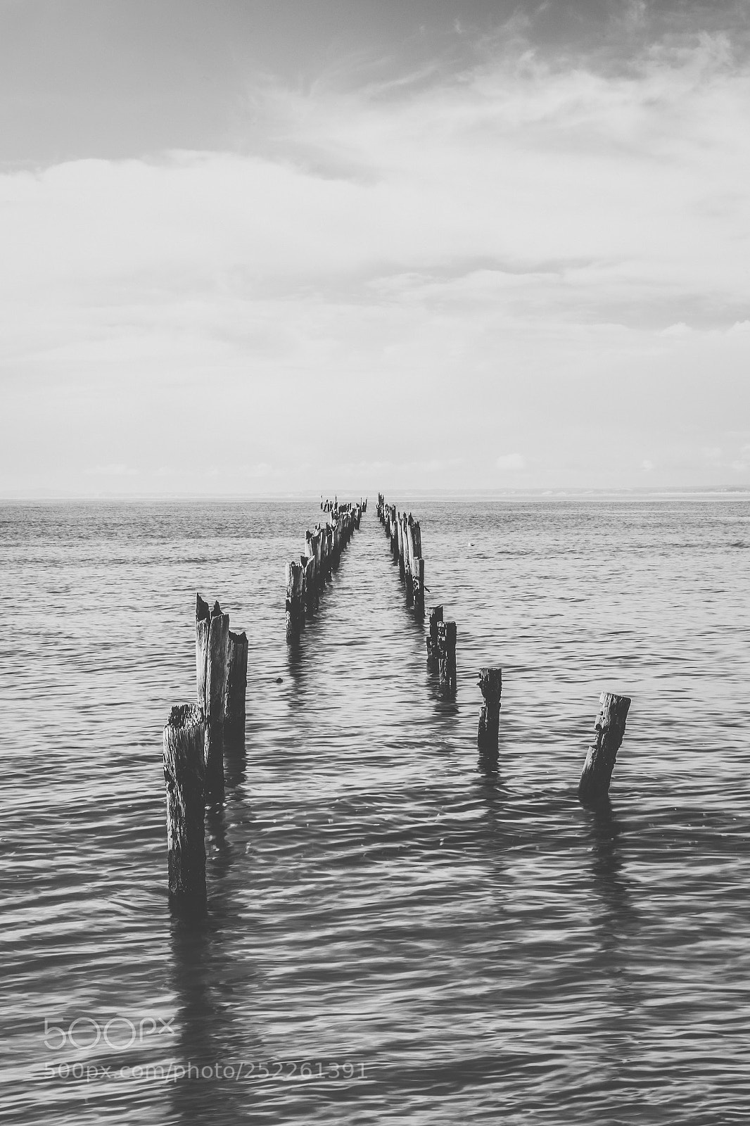Nikon D800 sample photo. Beautiful beach at bridport photography