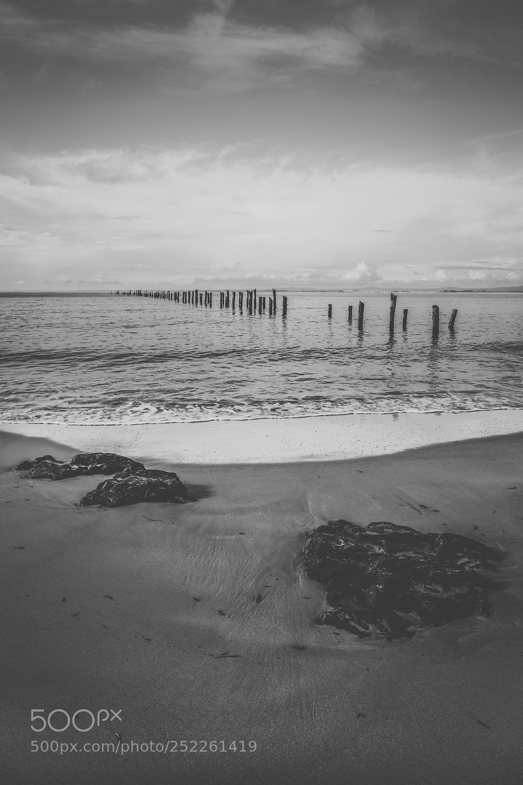 Nikon D800 sample photo. Beautiful beach at bridport photography