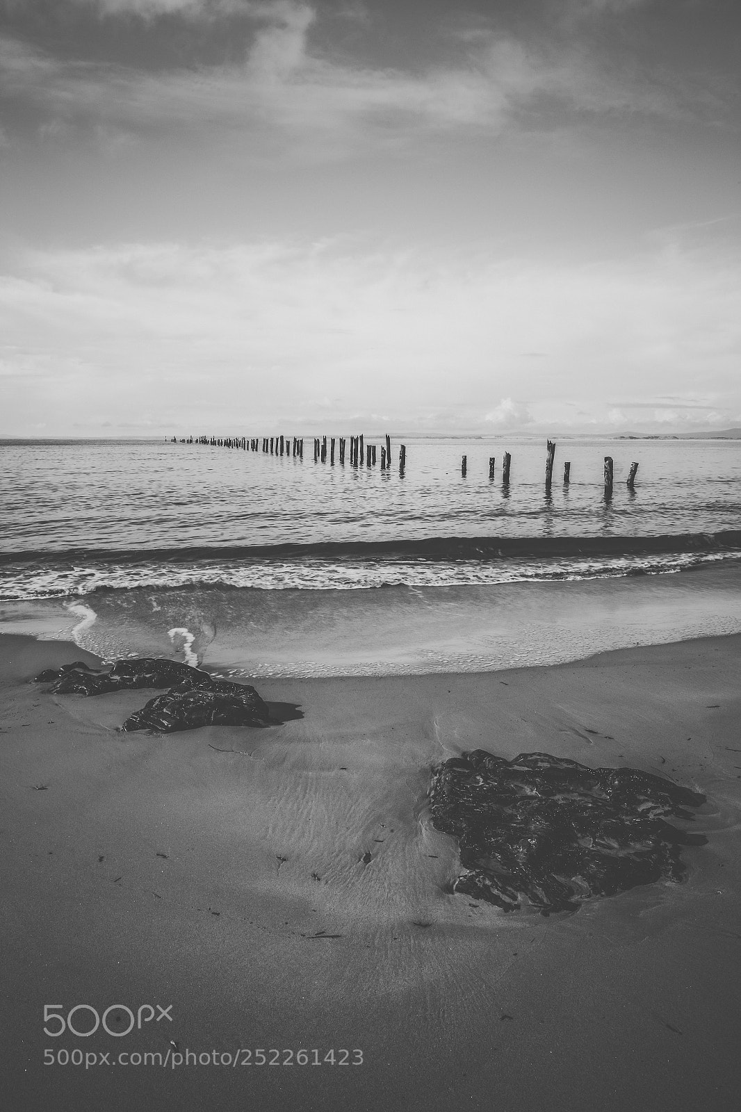 Nikon D800 sample photo. Beautiful beach at bridport photography