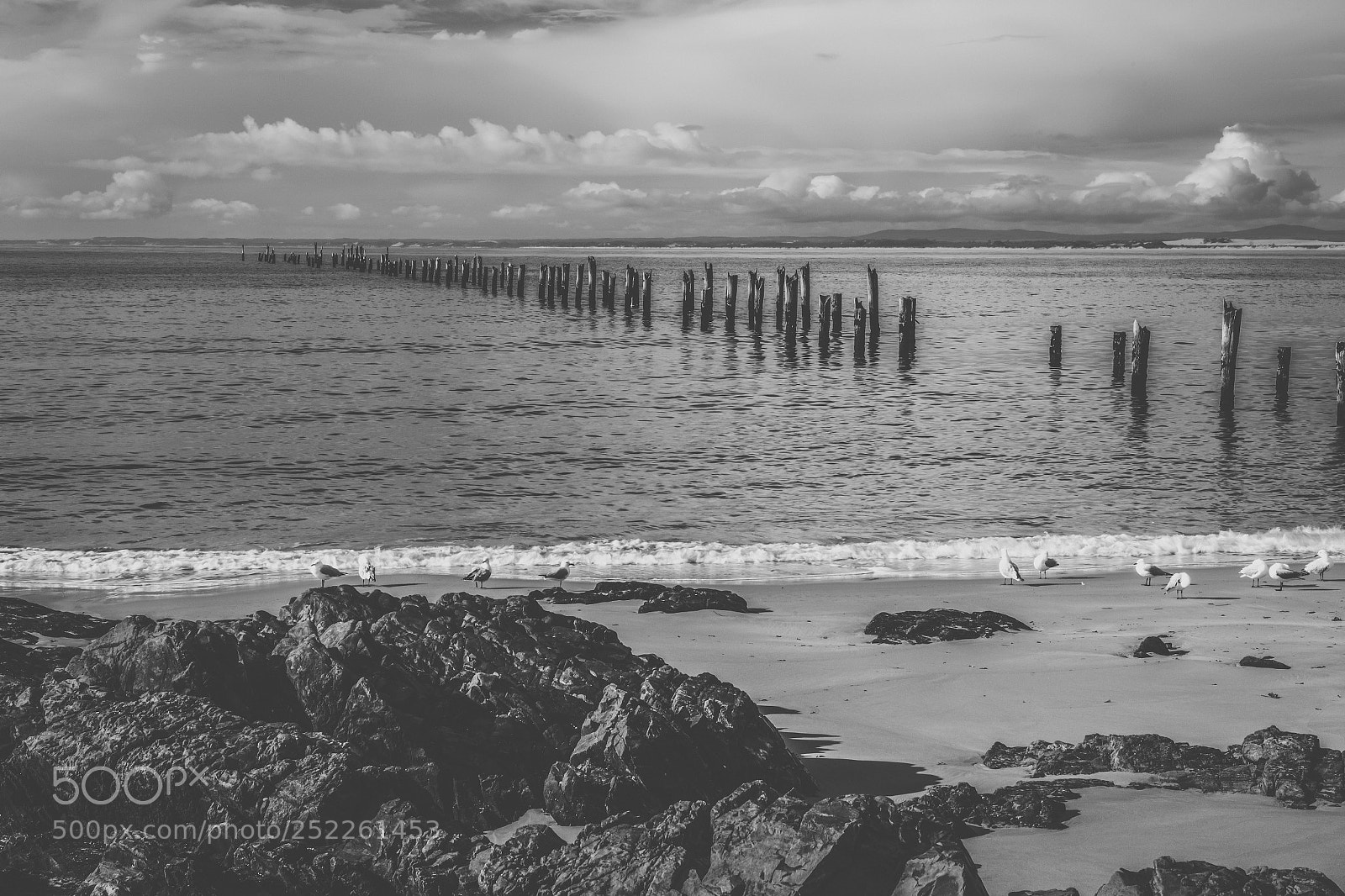 Nikon D800 sample photo. Beautiful beach at bridport photography