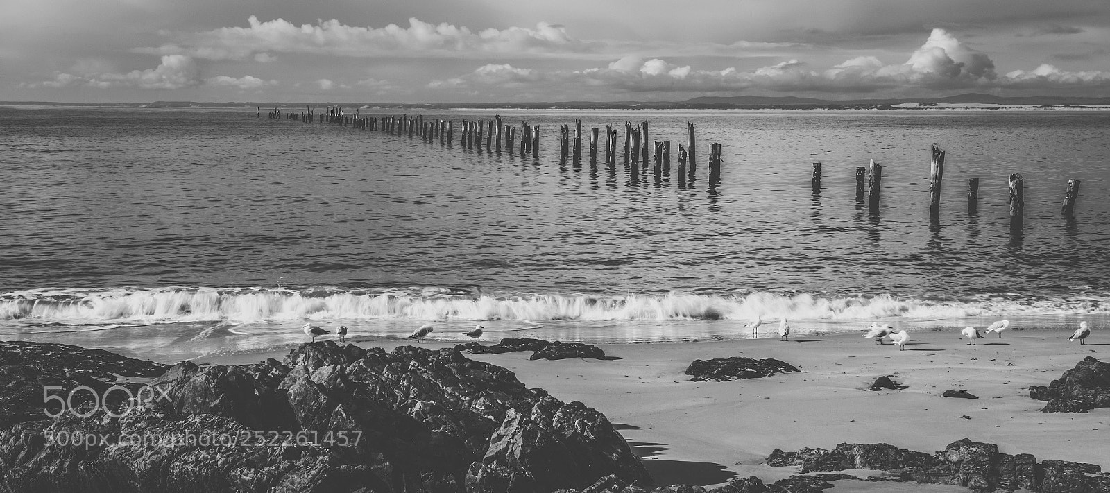 Nikon D800 sample photo. Beautiful beach at bridport photography