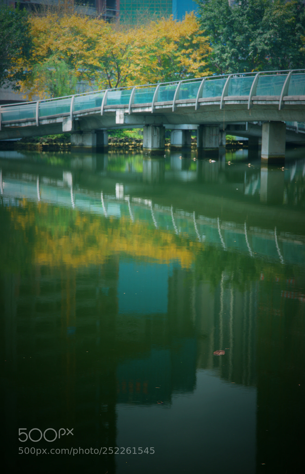 Nikon D800 sample photo. 春水流 photography