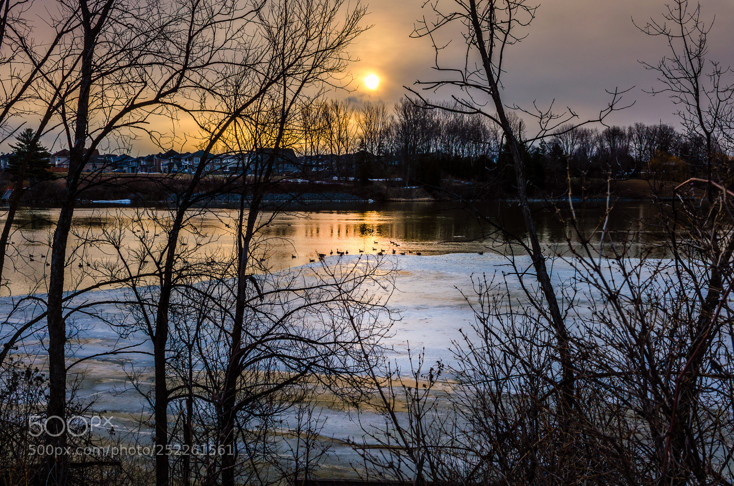 Nikon D5100 sample photo. Cool winter sunrise photography