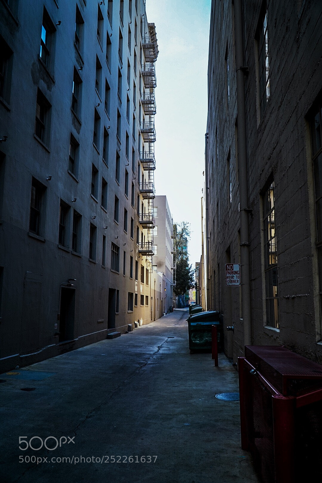 Sony a6000 sample photo. Short cut photography
