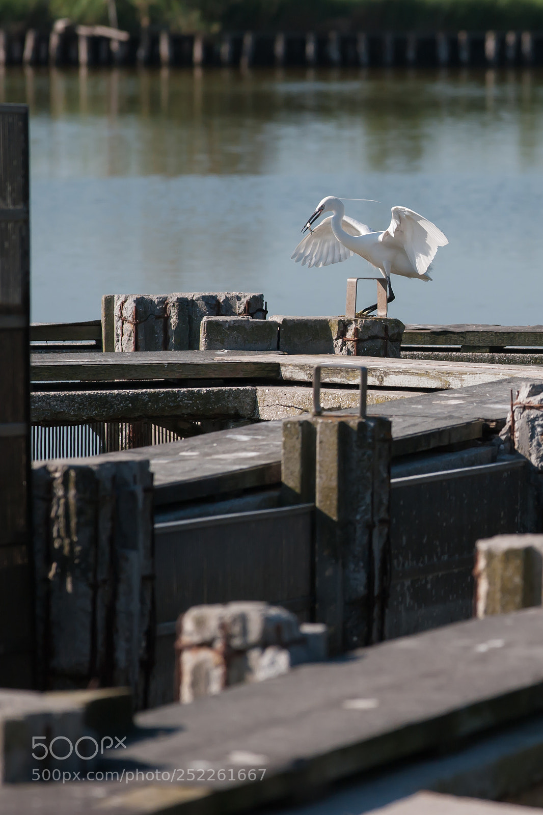 Nikon D700 sample photo. Lunchtime #2 photography