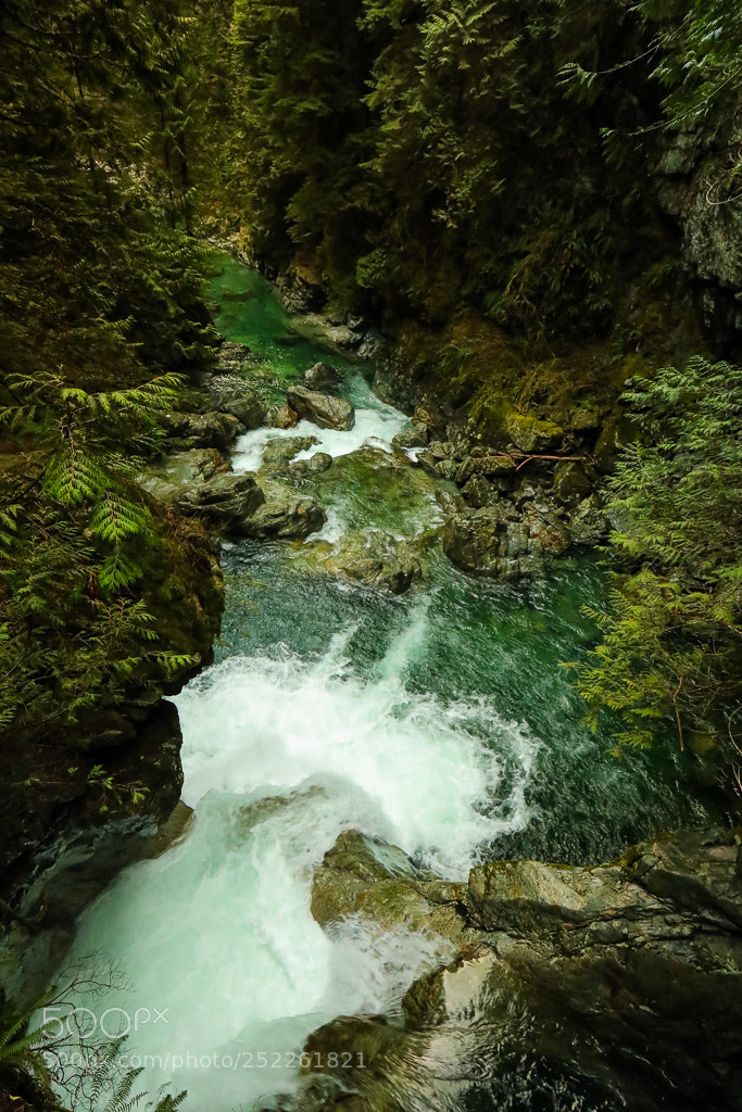 Canon EOS 5D Mark IV sample photo. Lynn canyon waterfall photography