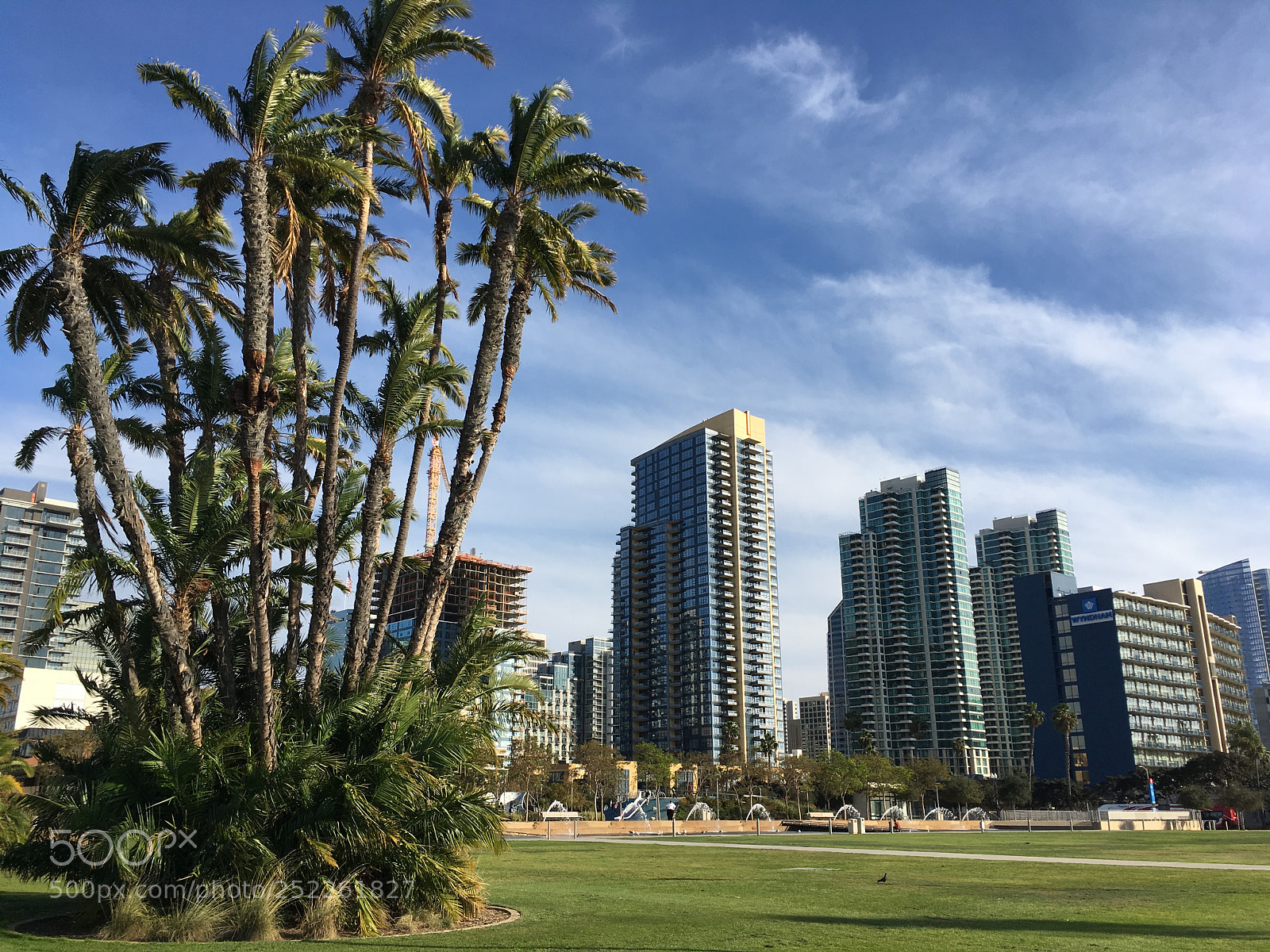 Apple iPhone SE sample photo. San diego, ca photography