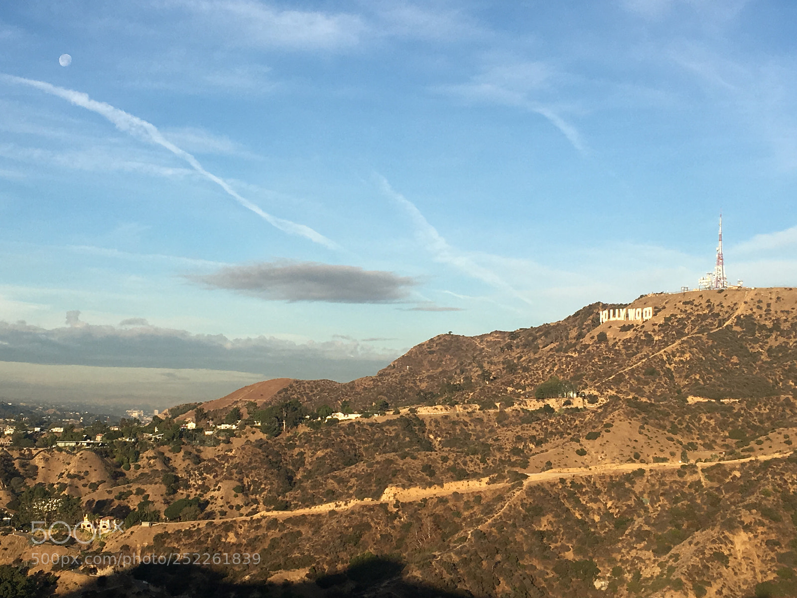 Apple iPhone SE sample photo. Hollywood hillz photography