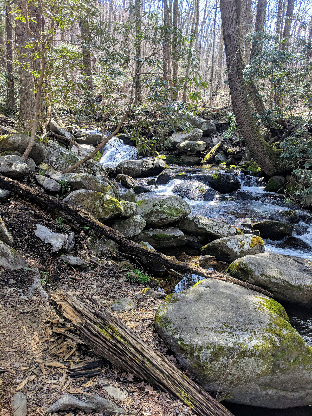 Google Pixel XL sample photo. Little falls photography