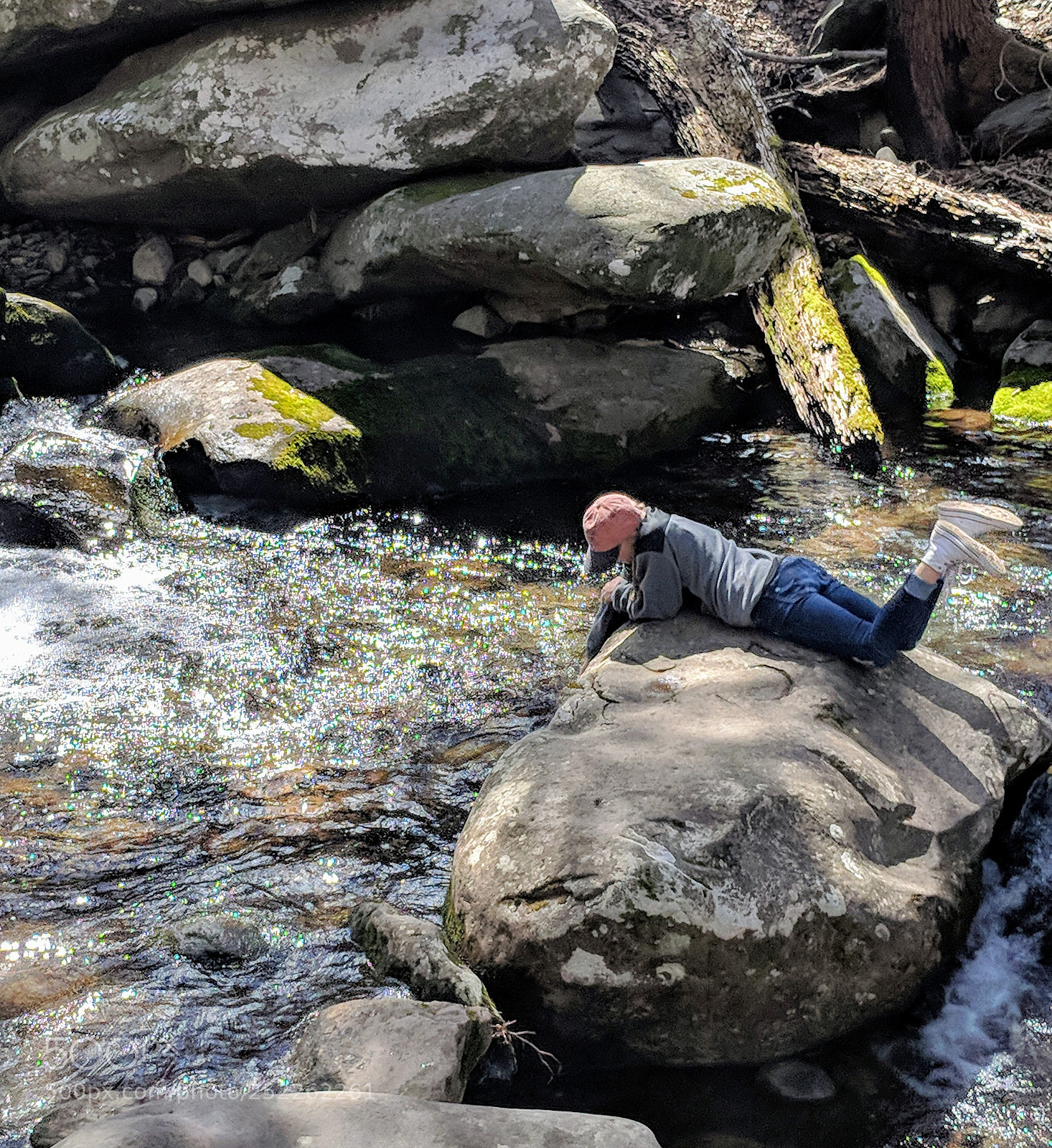 Google Pixel XL sample photo. Untitled photography