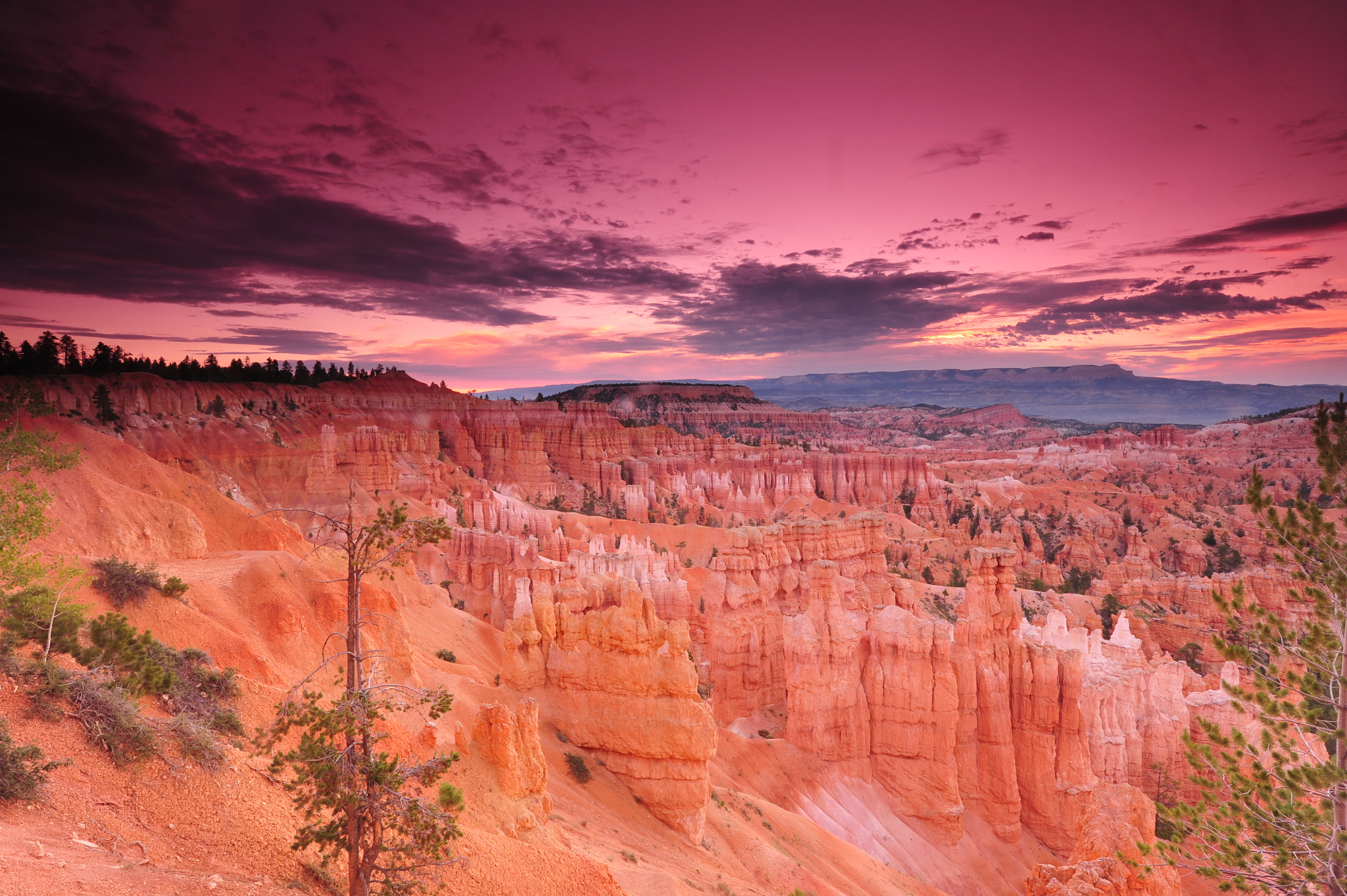 Nikon D700 + Nikon AF-S Nikkor 14-24mm F2.8G ED sample photo. Bryce canyon dawn photography