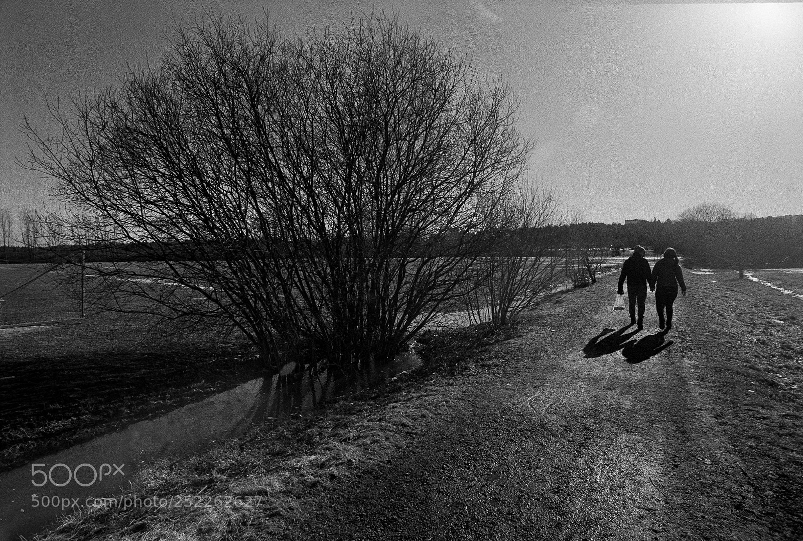Nikon D700 sample photo. The old road photography
