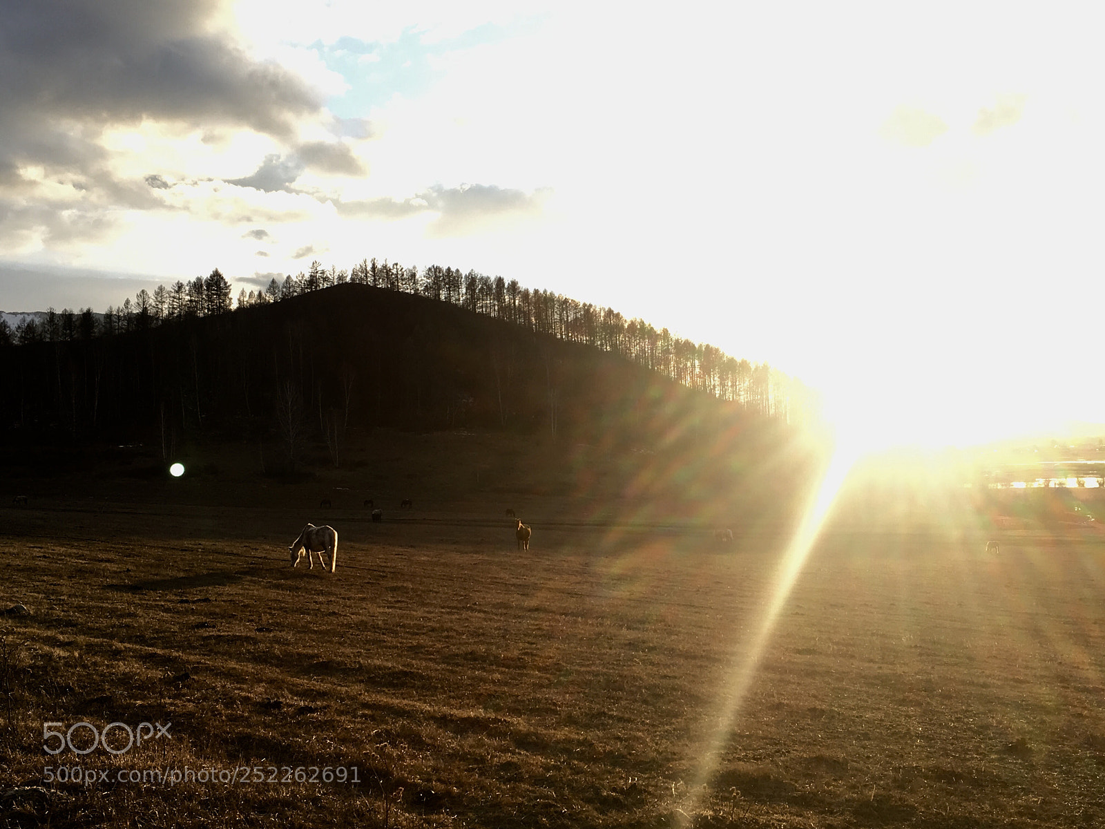 Apple iPhone 6s sample photo. Mountain altai  photography