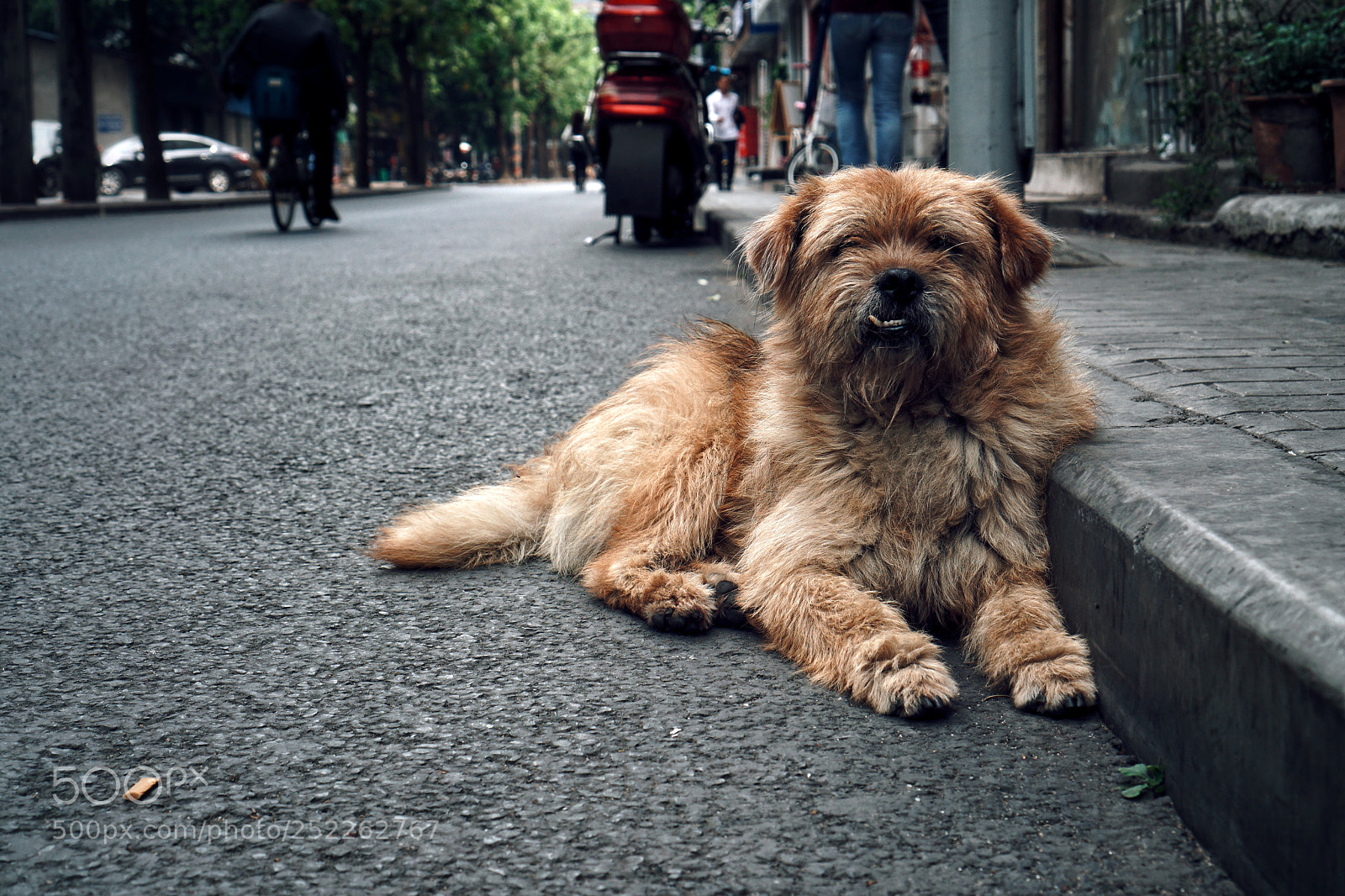 Sony a6300 sample photo. Untitled photography