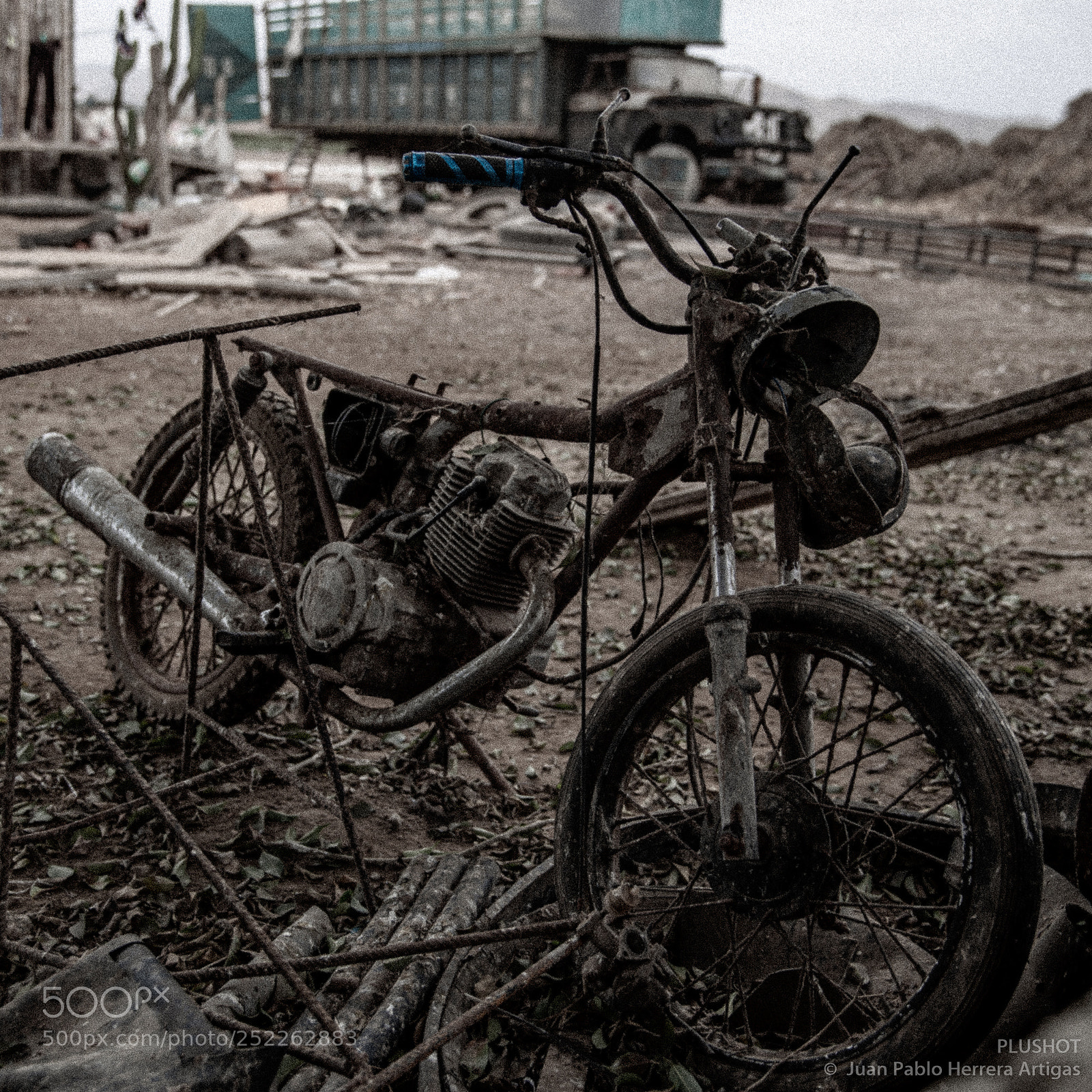 Canon EOS-1D X Mark II sample photo. Untitled photography