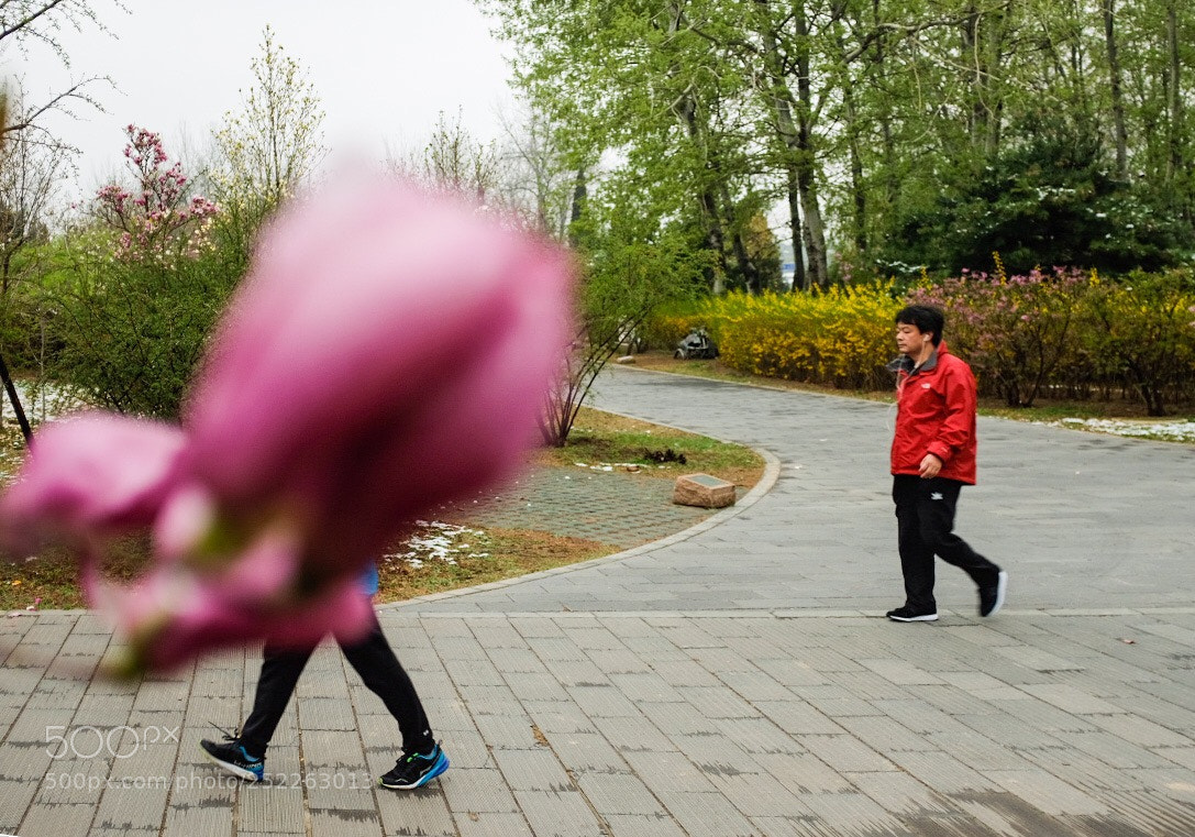 Fujifilm X100F sample photo. Untitled photography