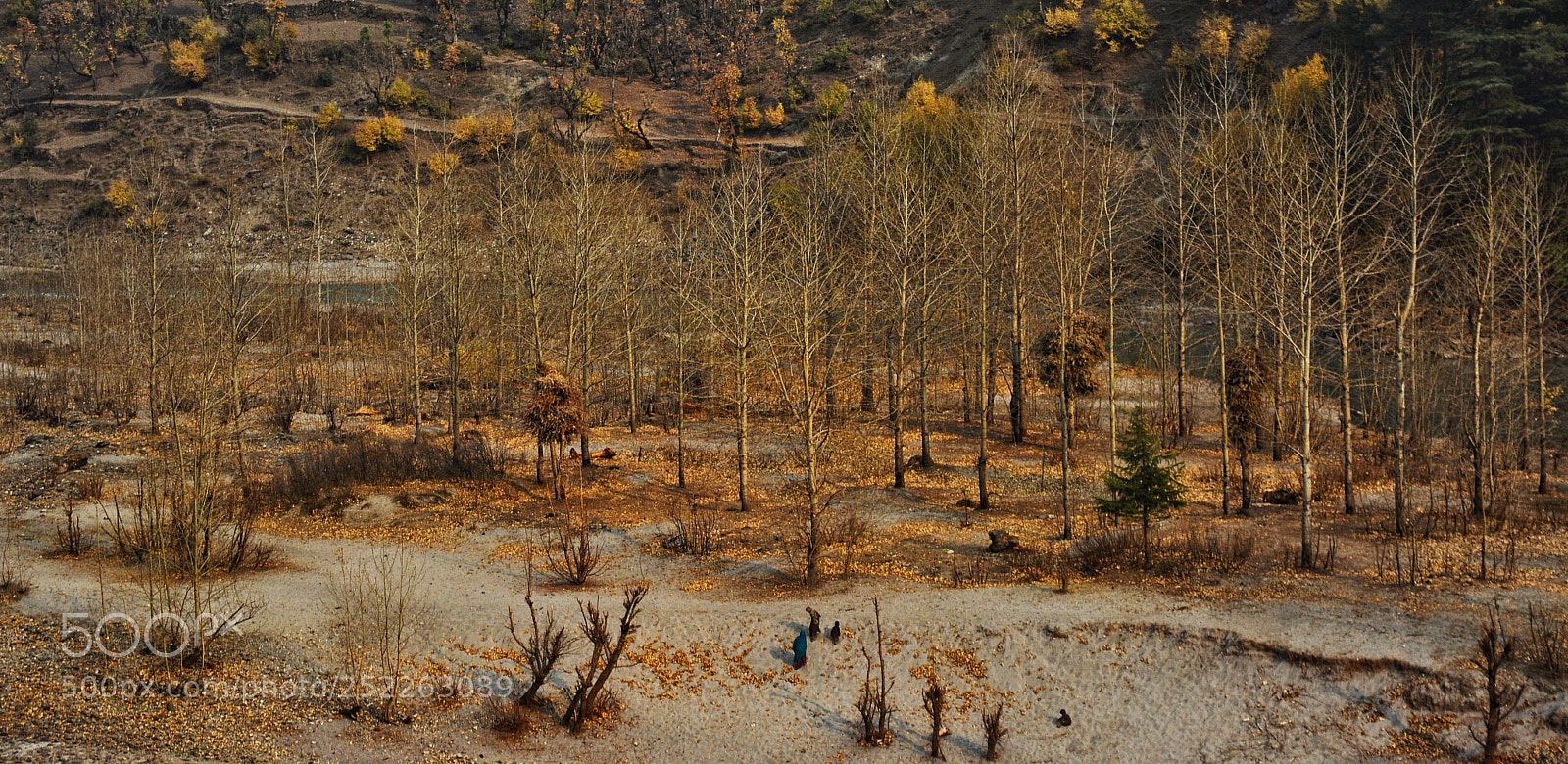 Nikon D5200 sample photo. Untitled photography